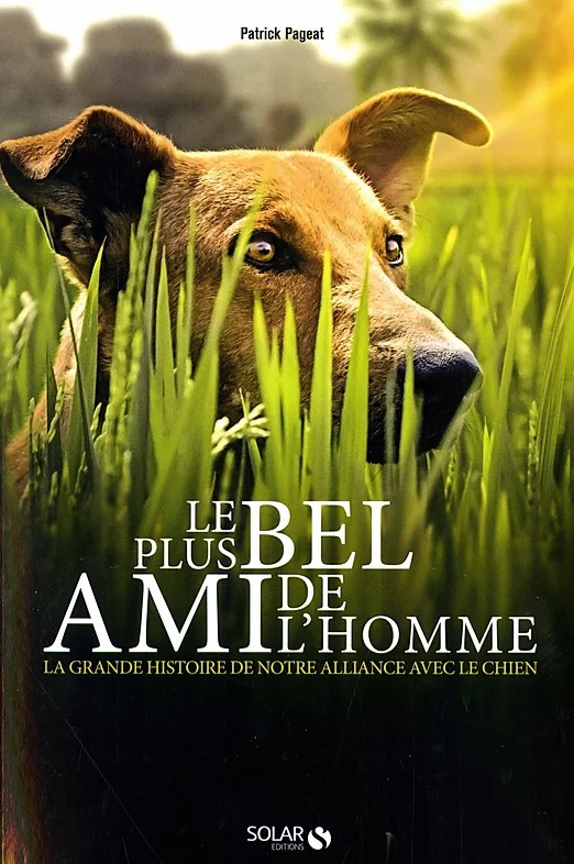 le-plus-bel-ami-de-lhomme215